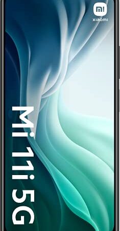 Xiaomi Mi 11i 5G - Smartphone 6.67'' (WiFi, Bluetooth 4.0, Qualcomm Snapdragon 888 2.84GHz, 128 GB de memoria interna, 8 GB de RAM, cámara de 108 MP), Negro [Versión ES/PT]