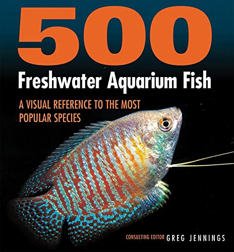 Melhor aquarium em 2023 [com base em 50 avaliações de especialistas]