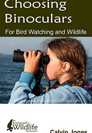 Choosing Binoculars for Bird Watching and Wildlife: 12 essential tips to help you pick the perfect wildlife and birding binocular