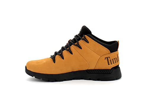 Melhor timberland em 2023 [com base em 50 avaliações de especialistas]