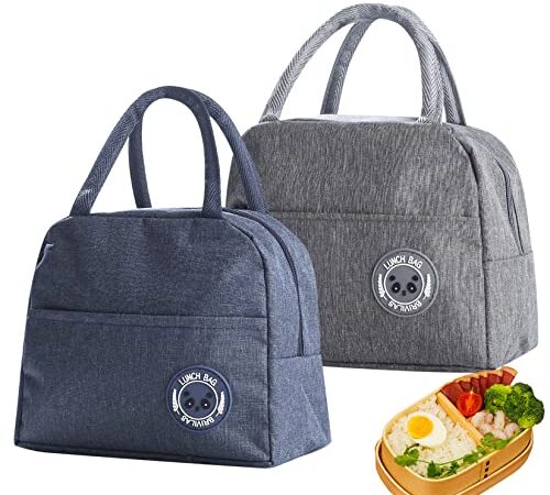 2 Pcs 6 L Insulated Lunch Bags, Thermal Picnic Bags, Foldable Cool Bags, Portable Lunch Box Bag Holder Cooler Bag for Men/Girls/Children/Foods/Drinks/Picnic/Beach/School/Office Work